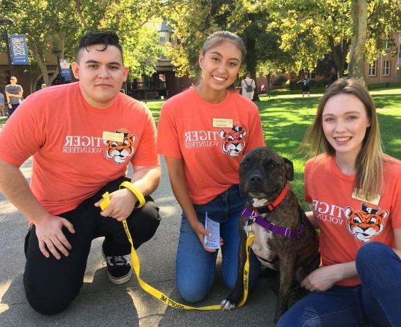 Volunteers with a dog